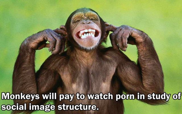 24 Facts About The Porn Industry