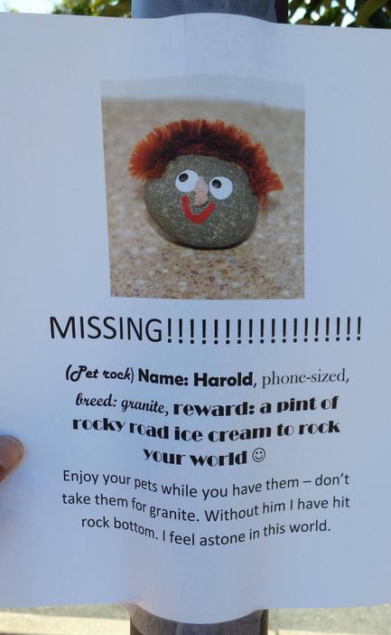 funny pet rock names - Missing!!!!!!!!!!!!! et tock Name Harold, phonesized, breed granite, reward a pin road ice cream to rock Your world our pets while you have th take them for granite. With rock bottom. I feel astone sranite. Without him I have hit fe