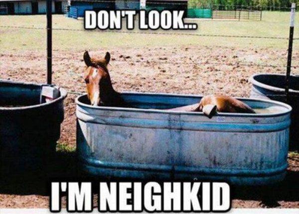 don t look i m neigh kid - Don'T Look... I'M Neighkid