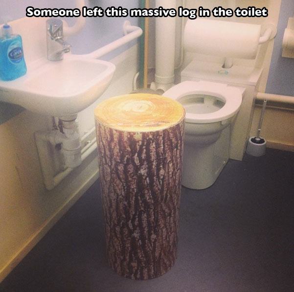 sink - Someone left this massive log in the toilet