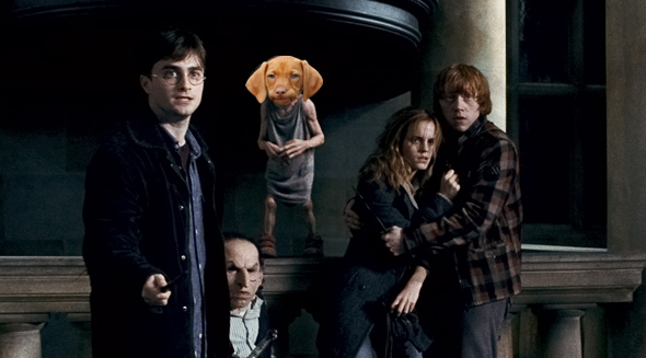 Harry Potter's Dobby