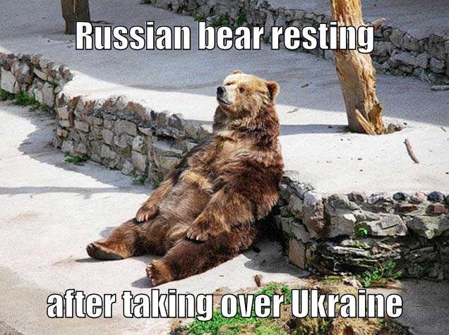 Russian bear resting after taking over Ukraine