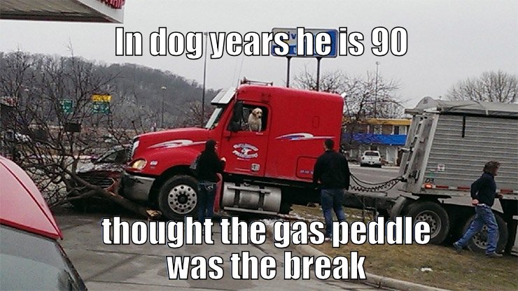 In dog years he is 90, thought the gas peddle was the break.