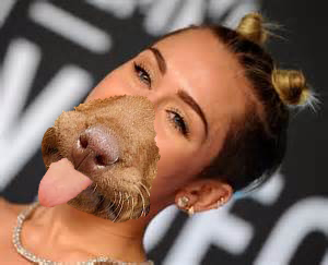 Miley Canine