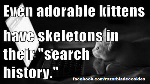 Adorable kitten better clear the search history!