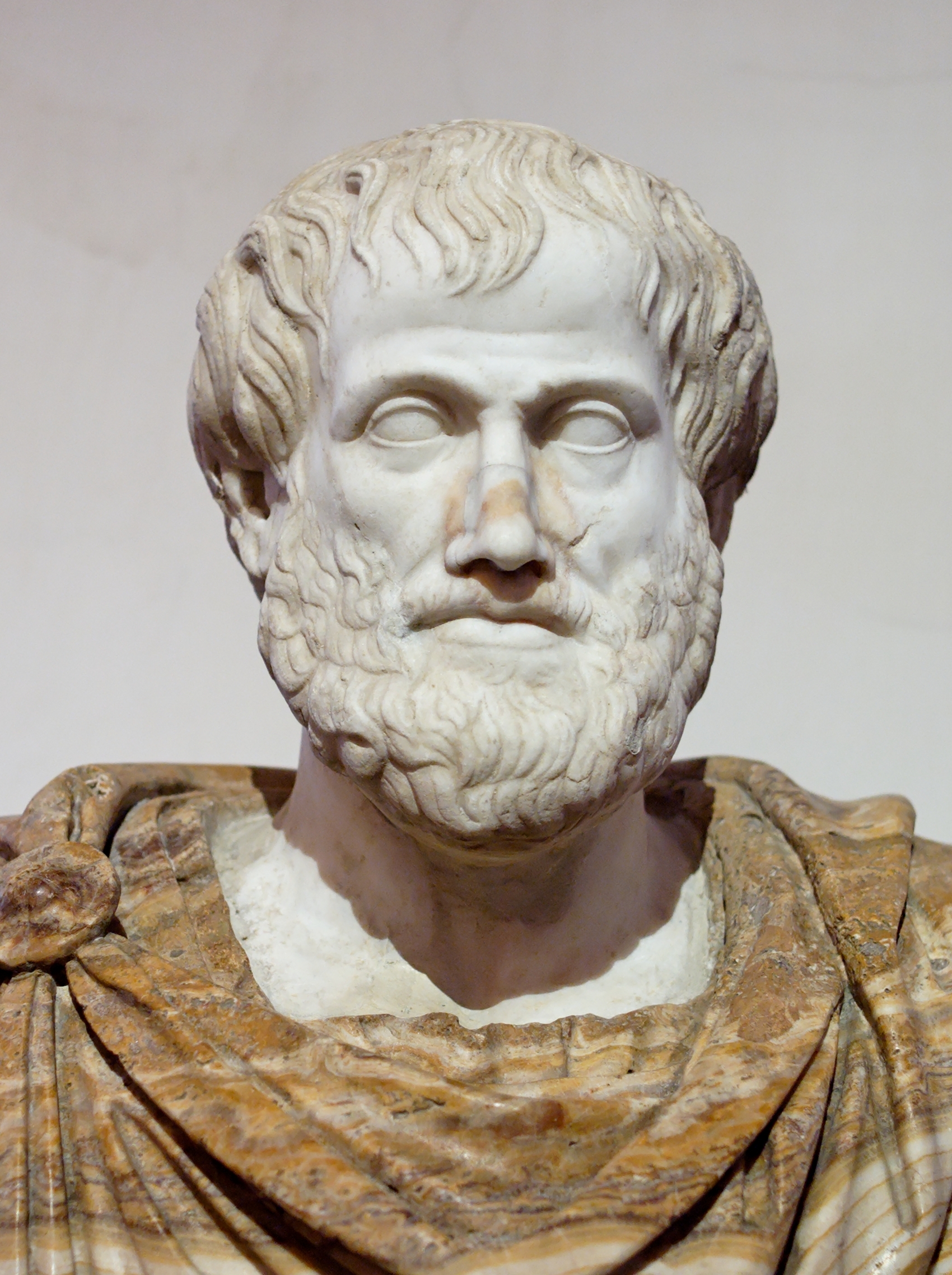 Aristotle  384 BC to 322 BC was a Greek philosopher and polymath, a student of Plato and teacher of Alexander the Great. His writings cover many subjects, including physics, metaphysics, poetry, theater, music, logic, rhetoric, linguistics, politics, government, ethics, biology, and zoology