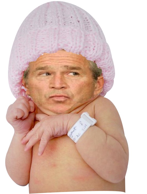 Bush baby