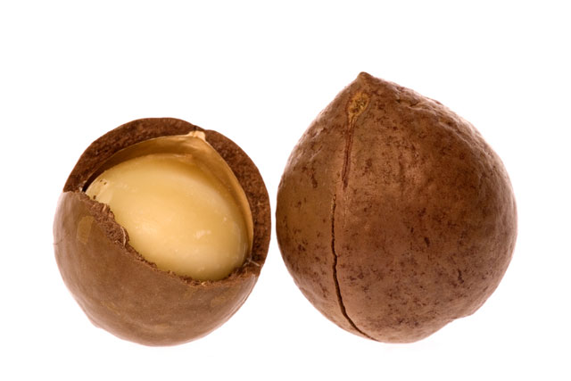 Macadamia nuts are very healthy for humans, they have the highest amount of monounsaturated fats of any known seed and contain approximately 22 of omega-7 palmitoleic acid, which has biological effects similar to monounsaturated fat. They also contain 9 protein, 9 carbohydrate, and 2 dietary fiber, as well as calcium, phosphorus, potassium, sodium, selenium, iron, thiamine, riboflavin and niacin. However, we must warn you that these delicious Hawaiian nuts can be dangerous to dogs although theyre not usually fatal. A dog that has eaten macadamia nuts could experience weakness in his legs and even suffer tremors for up to 48 hours. So if you notice these symptoms, rush your dog to the vet immediately.