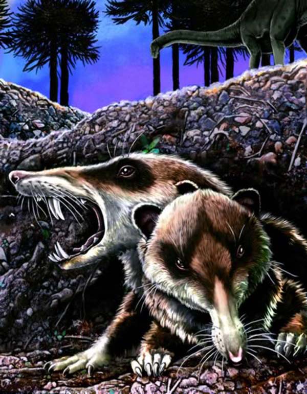 Saber-toothed squirrel, there are squirrels that used to have fangs that were 15 the size of their heads. They existed more than 100 million years ago. These squirrels most likely ate insects and not nuts.