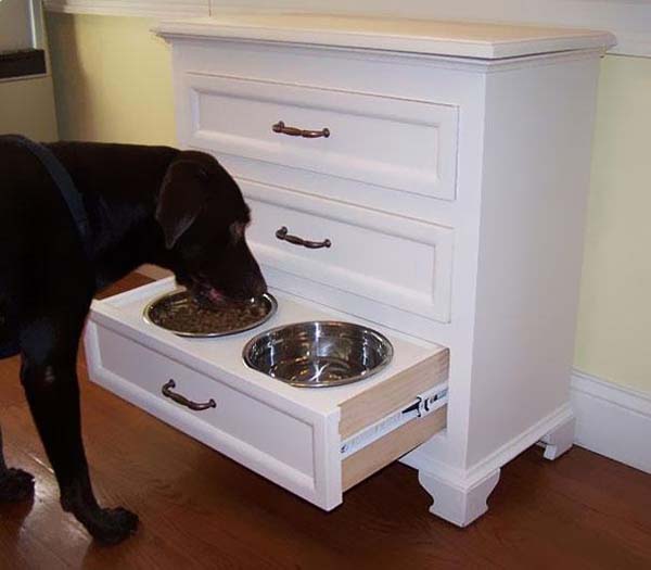 Keep your dogs food and water in a drawer that you can hide when company is over.