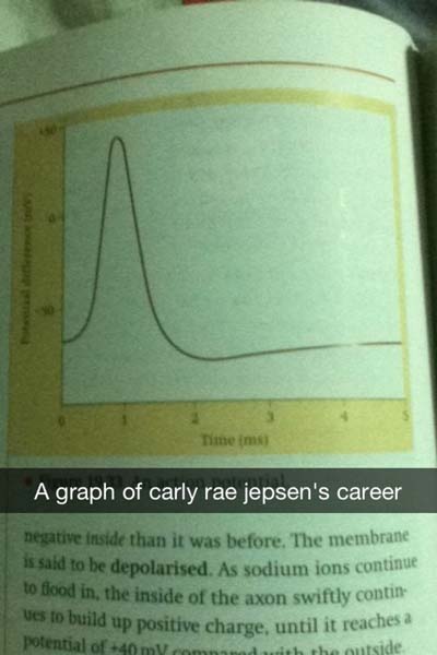 snapchat carly rae jepsen career graph - Time im A graph of carly rae jepsen's career negative inside than it was before. The membrane is said to be depolarised. As sodium ions continue to flood in the inside of the axon swiftly contin wes to build up pos