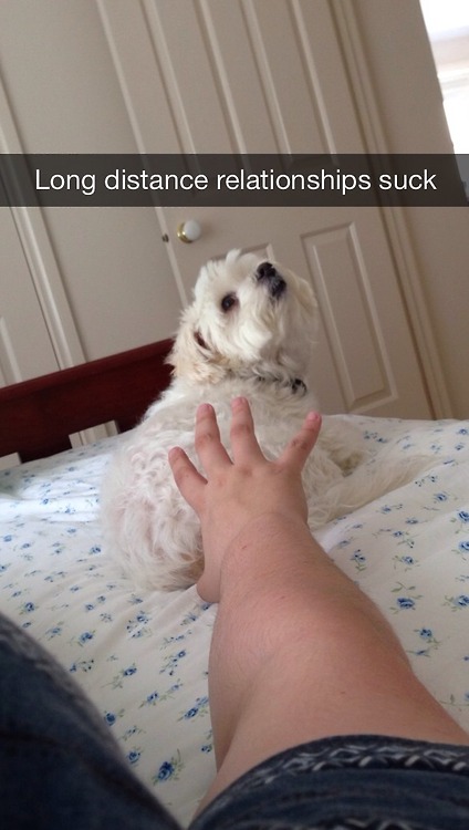 snapchat doggo memes - Long distance relationships suck