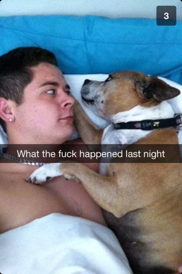 snapchat funny snapchat captions - What the fuck happened last night