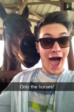 snapchat horse - Only the horses!