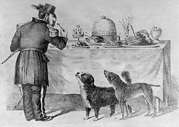 During the 1860's, in San Francisco, two stray dogs who were best friends became local celebrities. Their exploits were celebrated in local papers and they were granted immunity from the citys dog catchers.