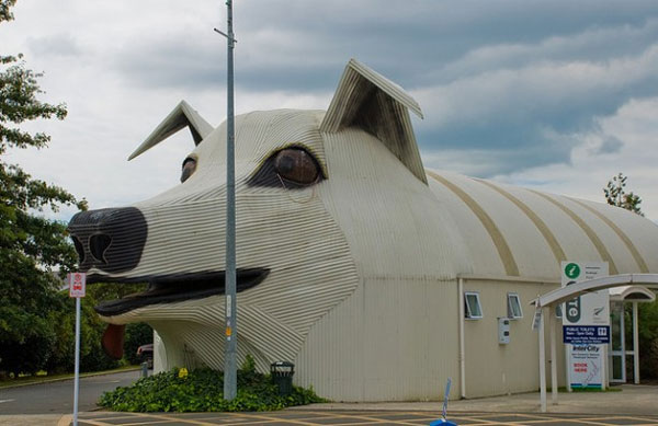 There is this crazy dog-shaped building in New Zealand.