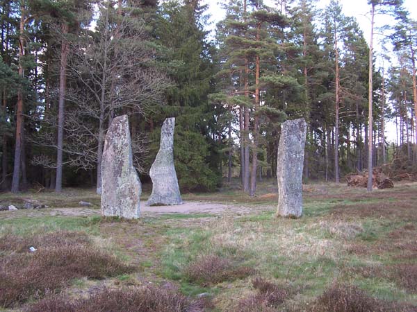 The Bjorketorp Runestone Curse: These stones are located in Sweden and were made in the sixth or seventh century. The inscription on the stones read, I, master of the runes? conceal here runes of power. Incessantly plagued by maleficence, doomed to insidious death is he who breaks this monument. In the 15th century, someone attempted to move the stones. He lit a fire attempting to crack the stone, his hair was set aflame by a gust of wind. He then died. The stones havent been touched since.