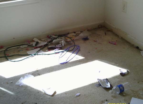 This was the mess found under a kids bed. Woah.
