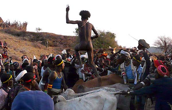Hamar cow jumping: The men of the Hamar tribe in Ethiopa must perform this rite before they are allowed to marry. First, the boy is whipped while family and friends look on. Then, he must run across the backs of four castrated cows. Then he can be wed.