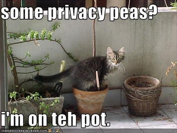 Hey How About A Little Privacy Please?!
