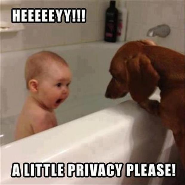Hey How About A Little Privacy Please?!