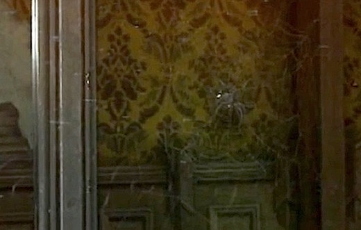 In the Grand Ballroom, theres a gigantic spider. If you look closely, you can see a bullet hole in the glass paneling. It is said that a child with either a slingshot or bb gun most likely fired at the window and broke it. Because the glass was too expensive to fix, they just covered it with a huge spider web.
