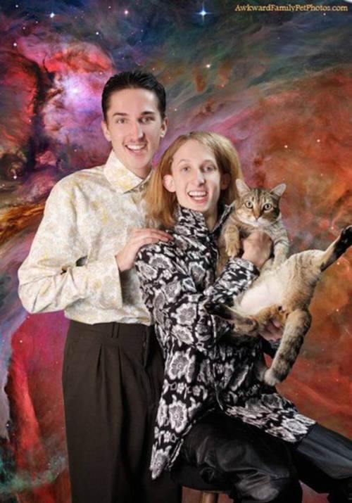 weird family photos with cats - AwkwardFamily Pet Photos.com