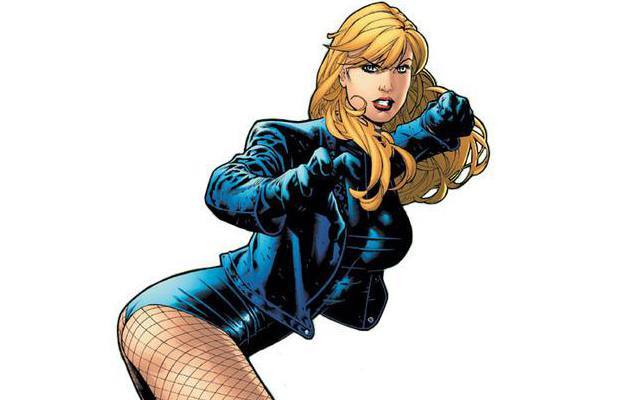 Admittedly, she has some questionable taste in men (Have you seen the Green Arrow’s ridiculous mustache?), but the Black Canary is no doubt one of the hottest women in DC Comics. We don’t know if it’s the leather jacket or torn fishnet stockings, but the Canary certainly leaves fans and heroes drooling. Oh, and in what’s sure to be a running theme on this list, Batman hit it first.