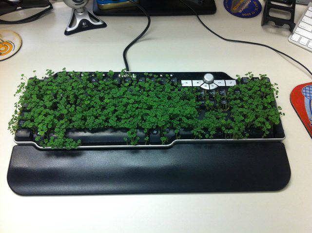 23 Office Pranks That Went One Step Too Far