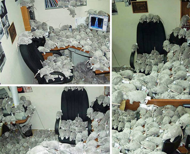 23 Office Pranks That Went One Step Too Far