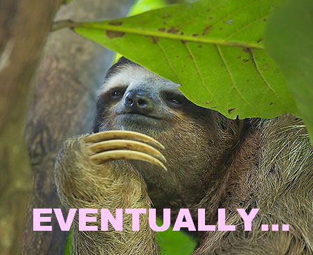 Sloth forever