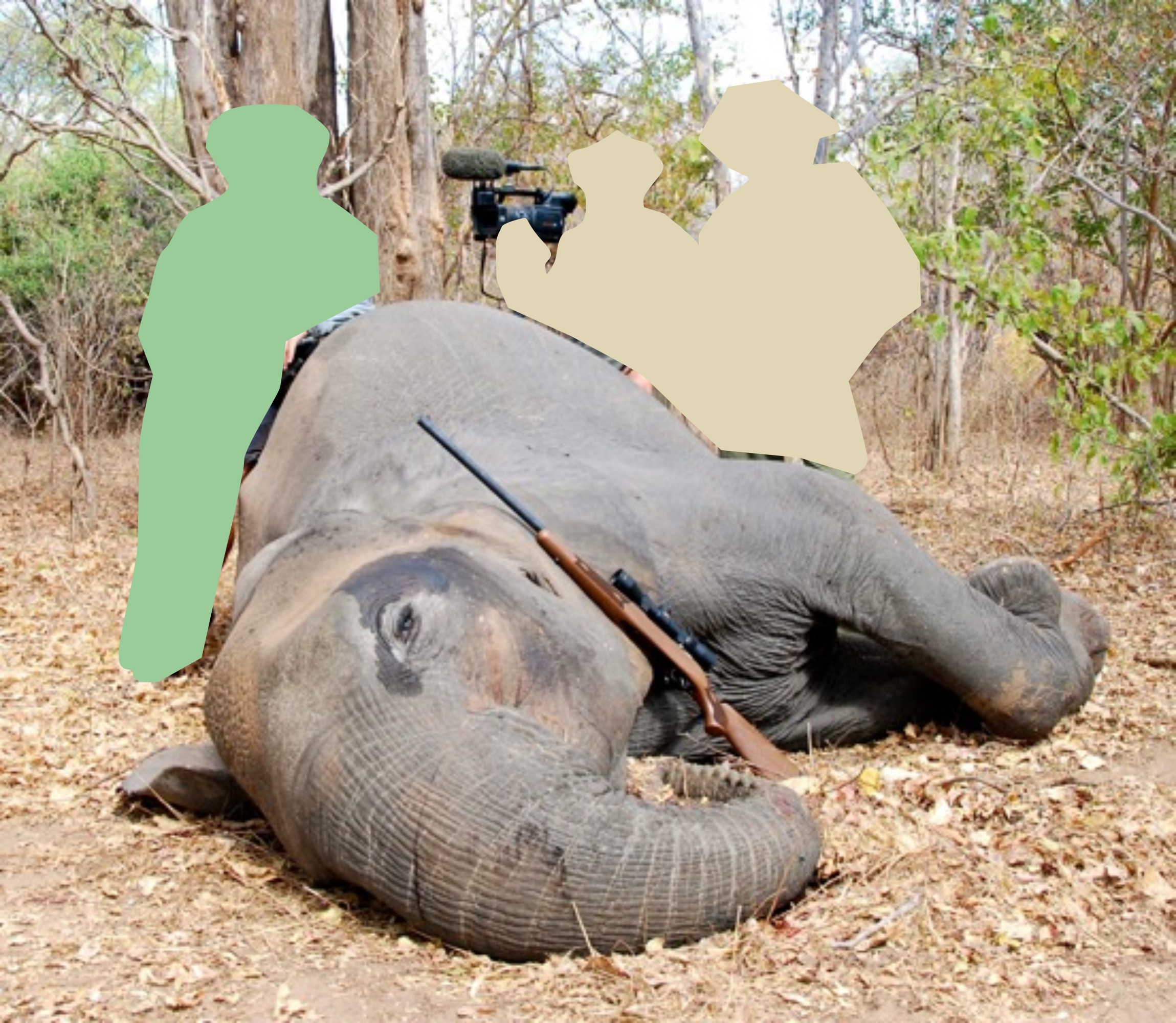 A beautiful elephant died because of global warming. Photographs don't lie.