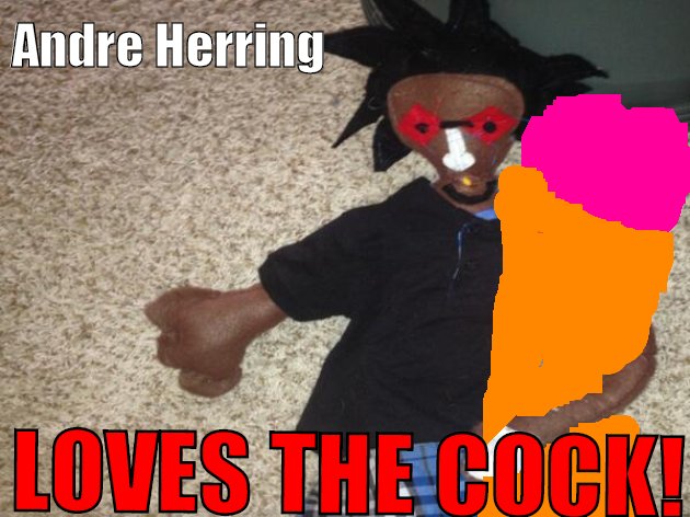 about Andre Herring