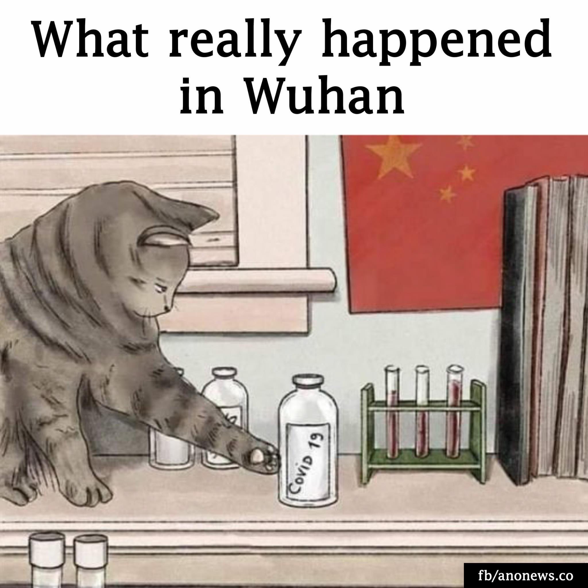 What really happened in Wuhan Lla CoviD 19 fbanonews.co