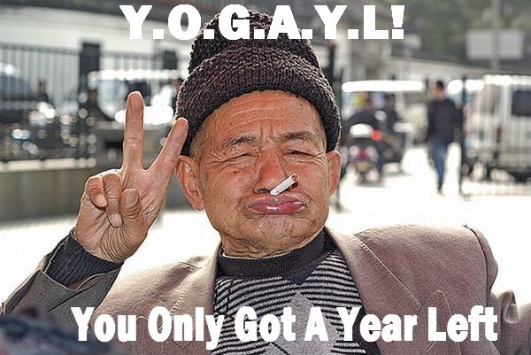 YOLO Evolved: YOGAYL
