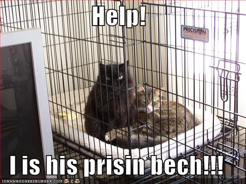 prison bitch
