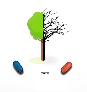 Drugs vs Trees