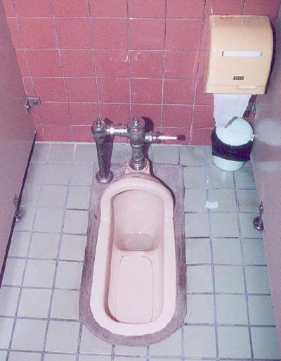 Toilets from Around the World