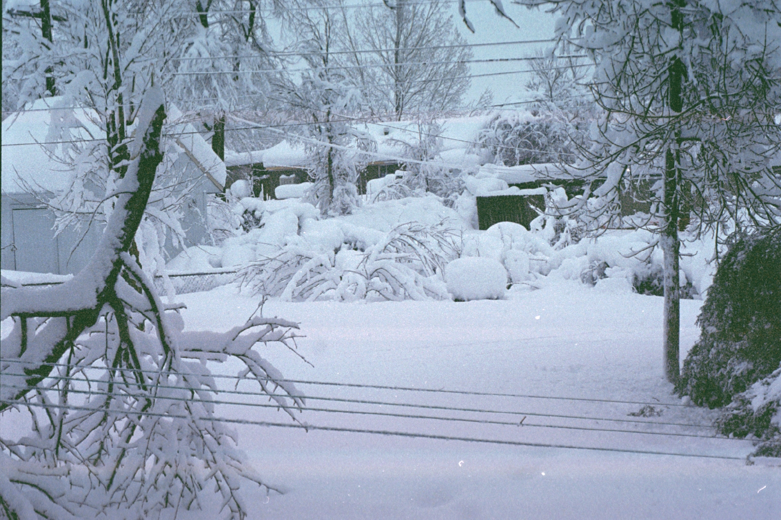 the Blizzard of 1993 storm of the century
