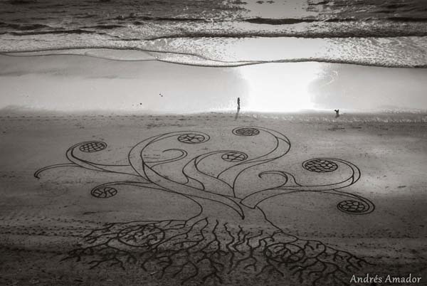 rake beach art of Andres Amador