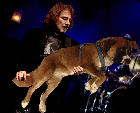 Bass players playing dogs and a few other surprises