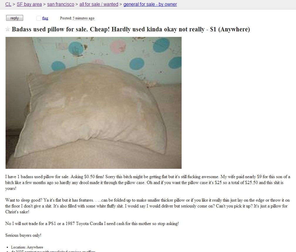 One badass used pillow for sale. Hardly any drool.