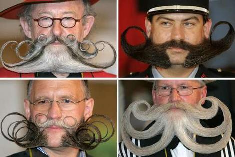 Amazing Beards