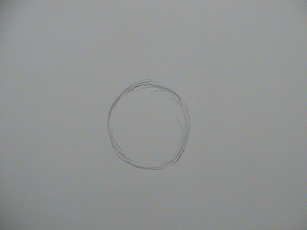 STEP 1: Start off by lightly sketching a circle.