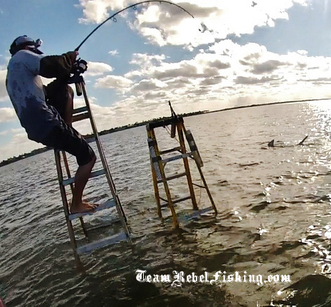 Sight fishing for sharks off ladders in the middle of the river... Just a pretty wicked still shot I grabbed from the video