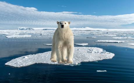 To the North is the Arctic Circle, where polar bears roam and the summer sun lasts 24 hours.