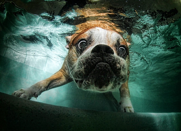 Enjoy The Day With These 32 Randomly Awesome Pics