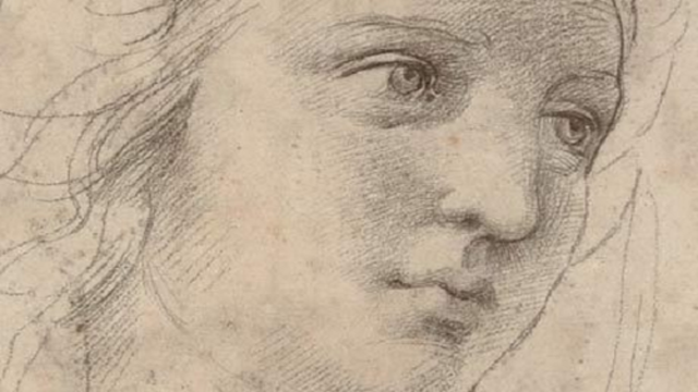 This drawing, "Raphaels Head of a Muse" was estimated to go for 20 million but instead went for 47.9 Million at auction.