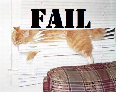 20 cat fails