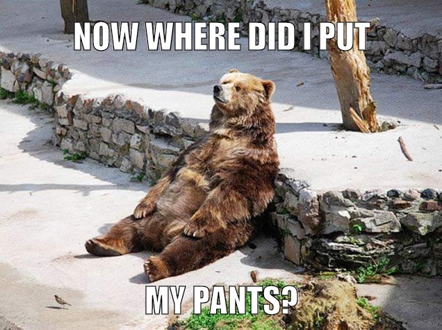 This bear has lost his pants...